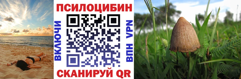 kraken как войти  площадка официальный сайт  Галлюциногенные грибы Psilocybe  Ивангород 